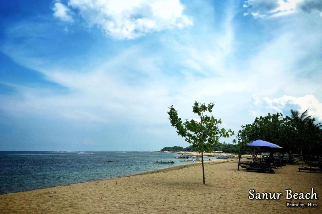 Swin Sanur (Bali)